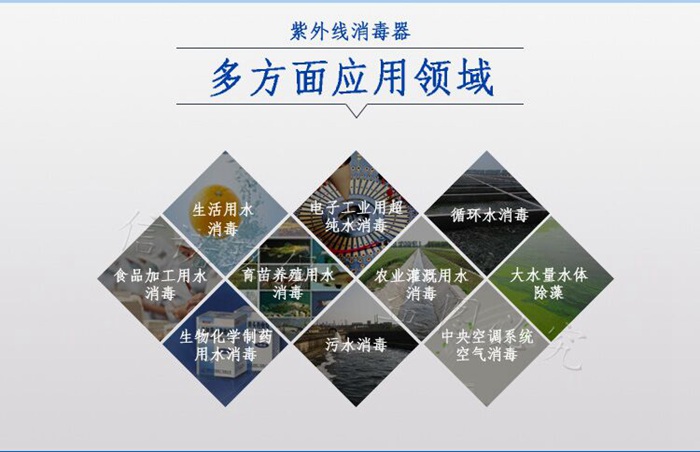 详情6.jpg
